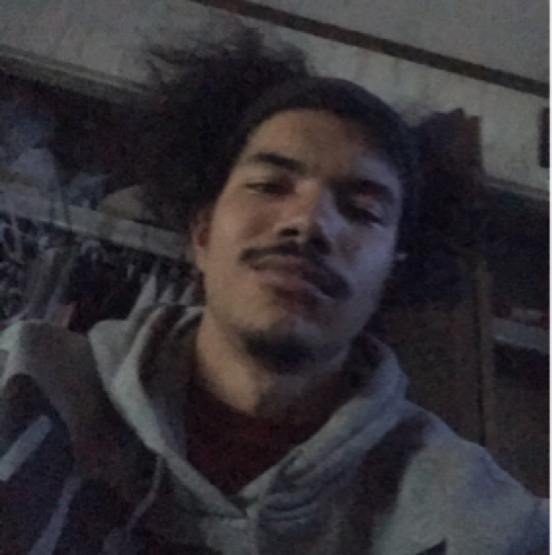 49313639 9210