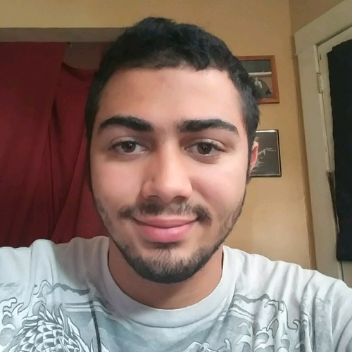 67208554 4421
