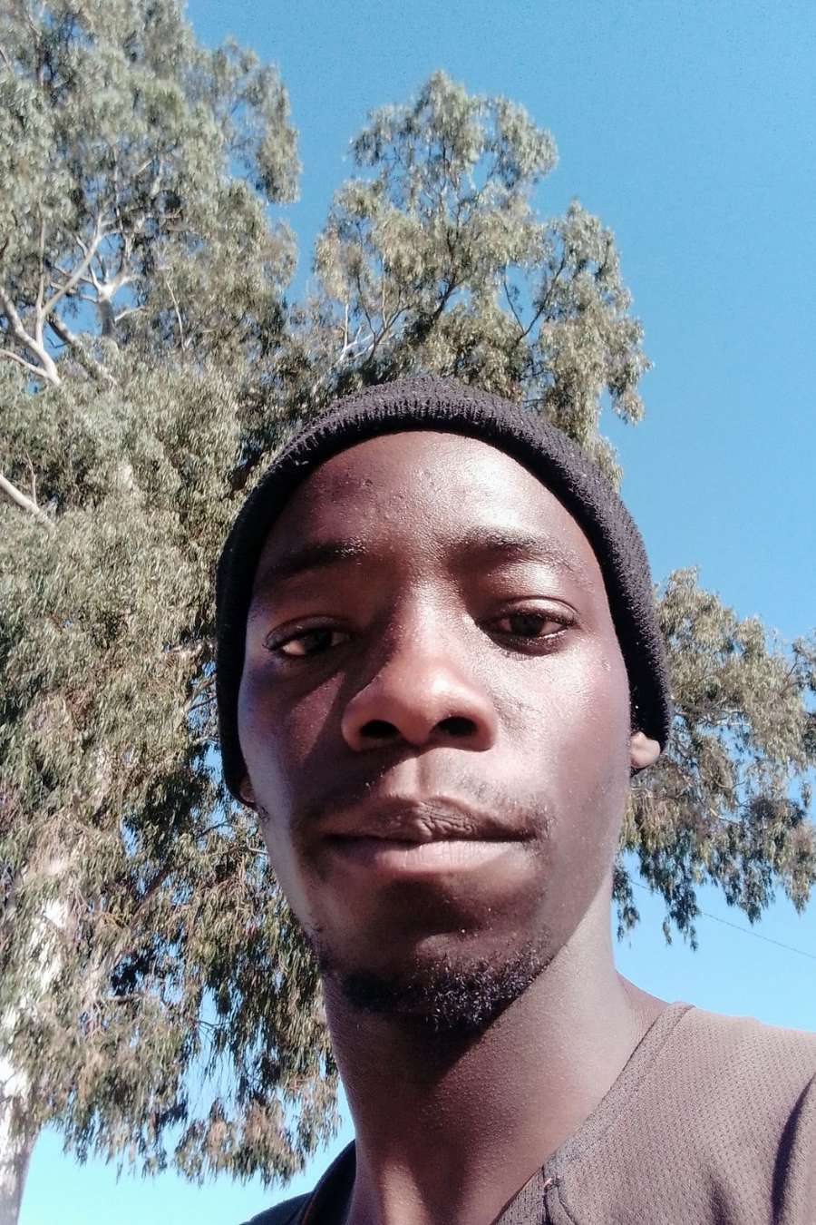 89168083 5529 medium large