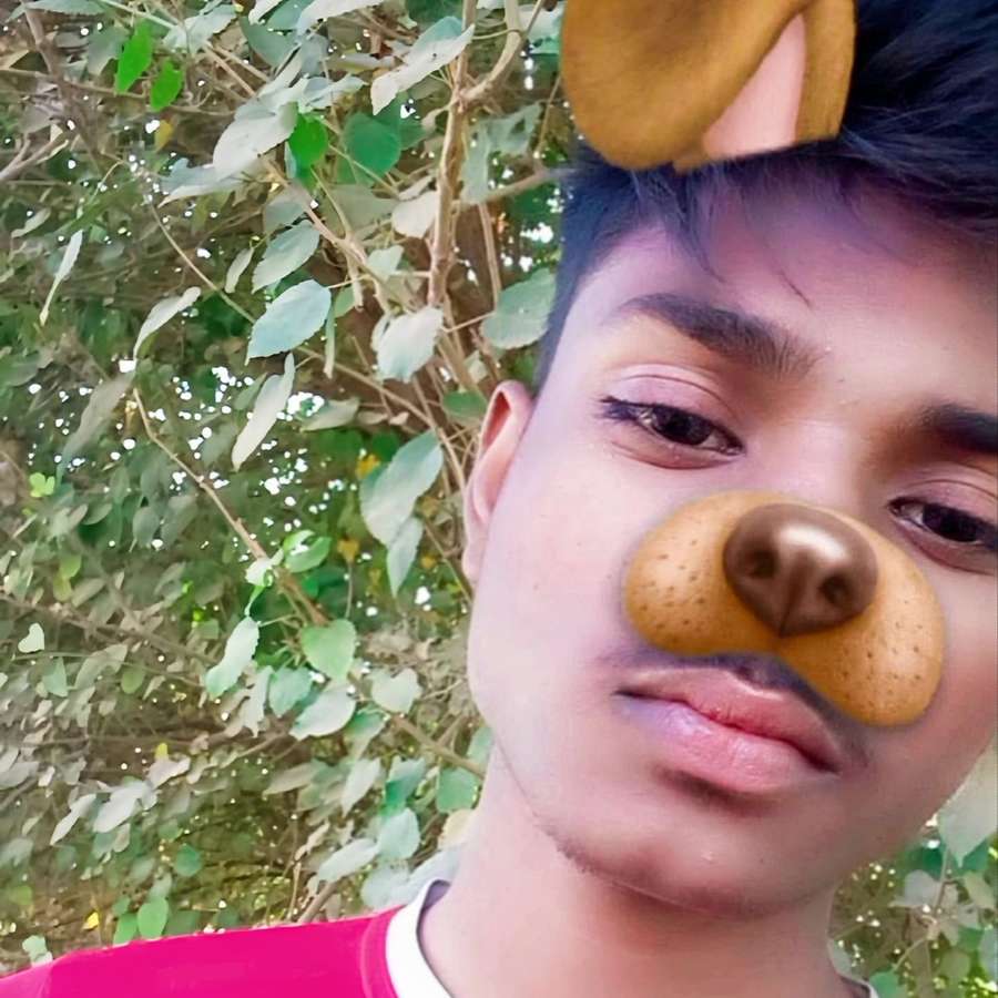 84549953 8003 medium large