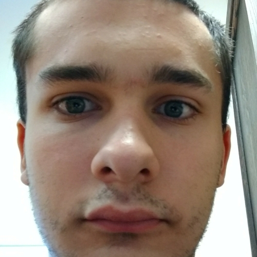 38431945 731