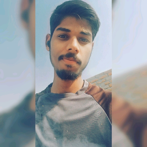 51293638 9439