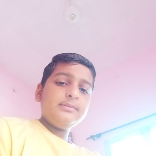 49772428 3237