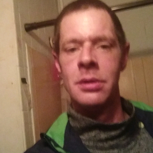51281338 5297