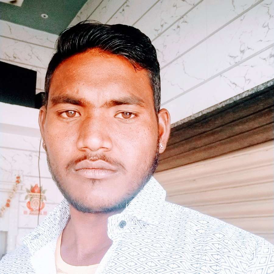 85036793 207 medium large