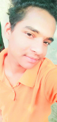 49437652 8102