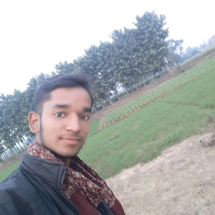 85423294 967 medium large