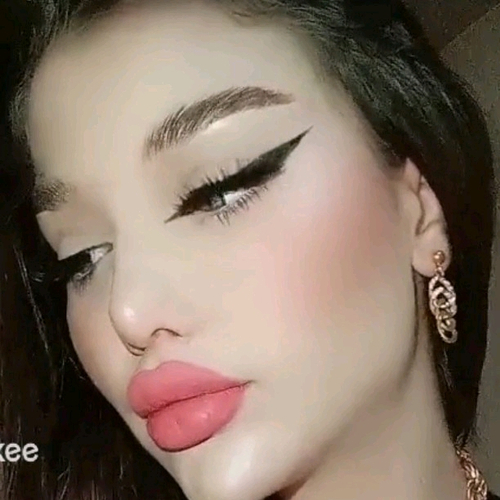 61988879 8558