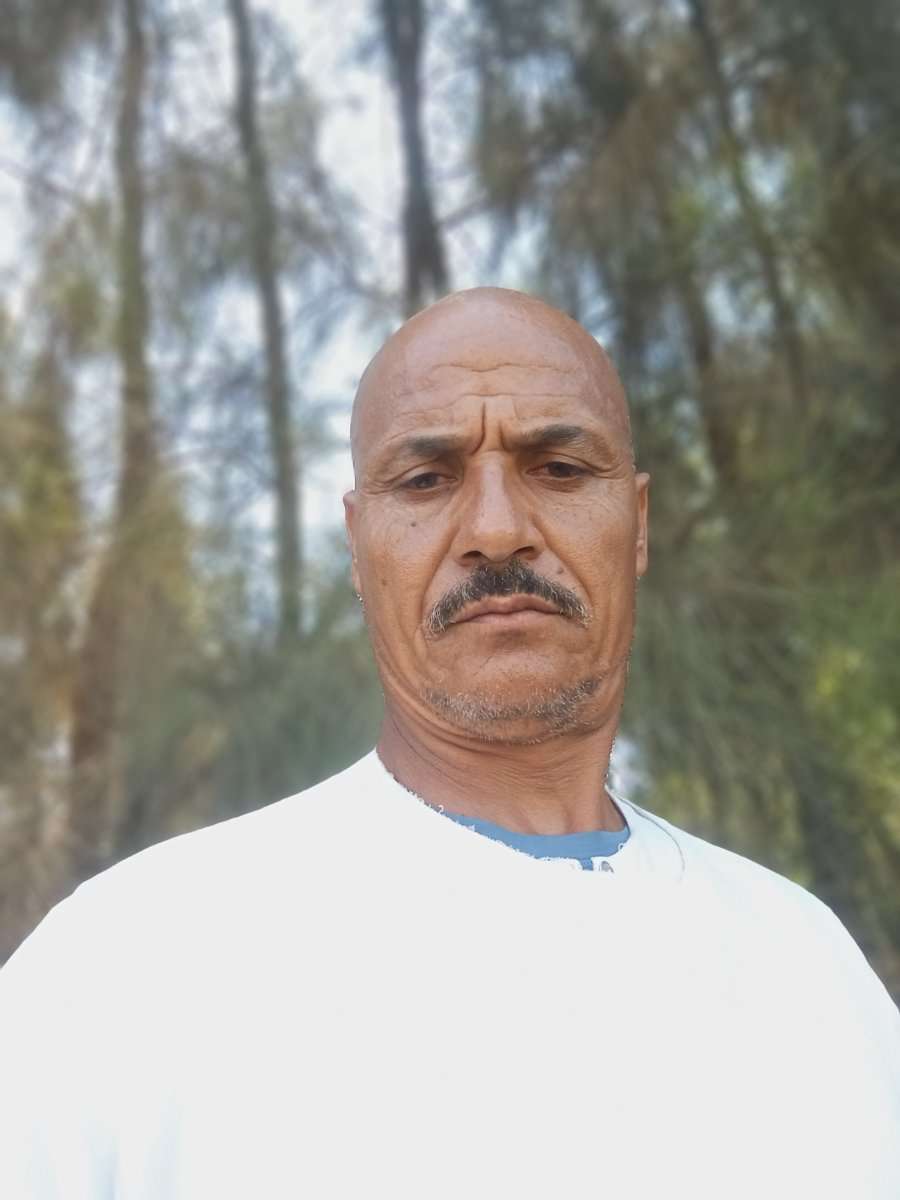 82062145 3524 medium large