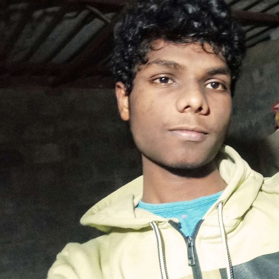 87019582 4569 medium large