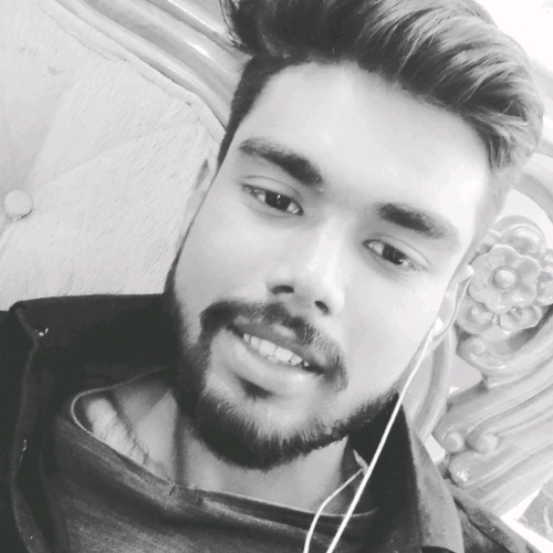 52057554 8527
