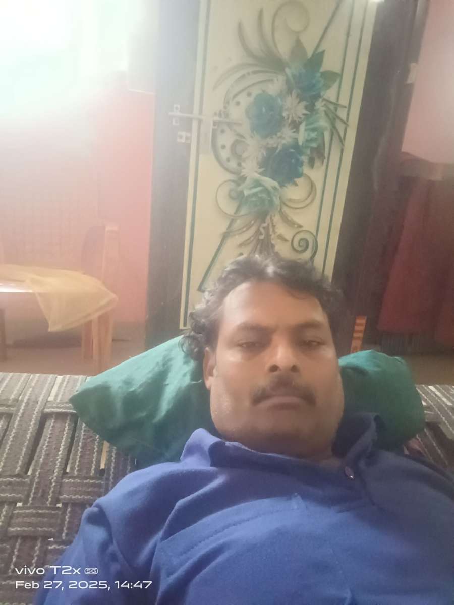 86364225 5346 medium large