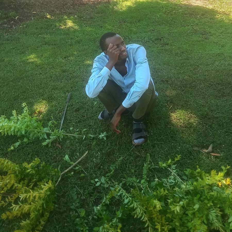 80901823 1361 medium large