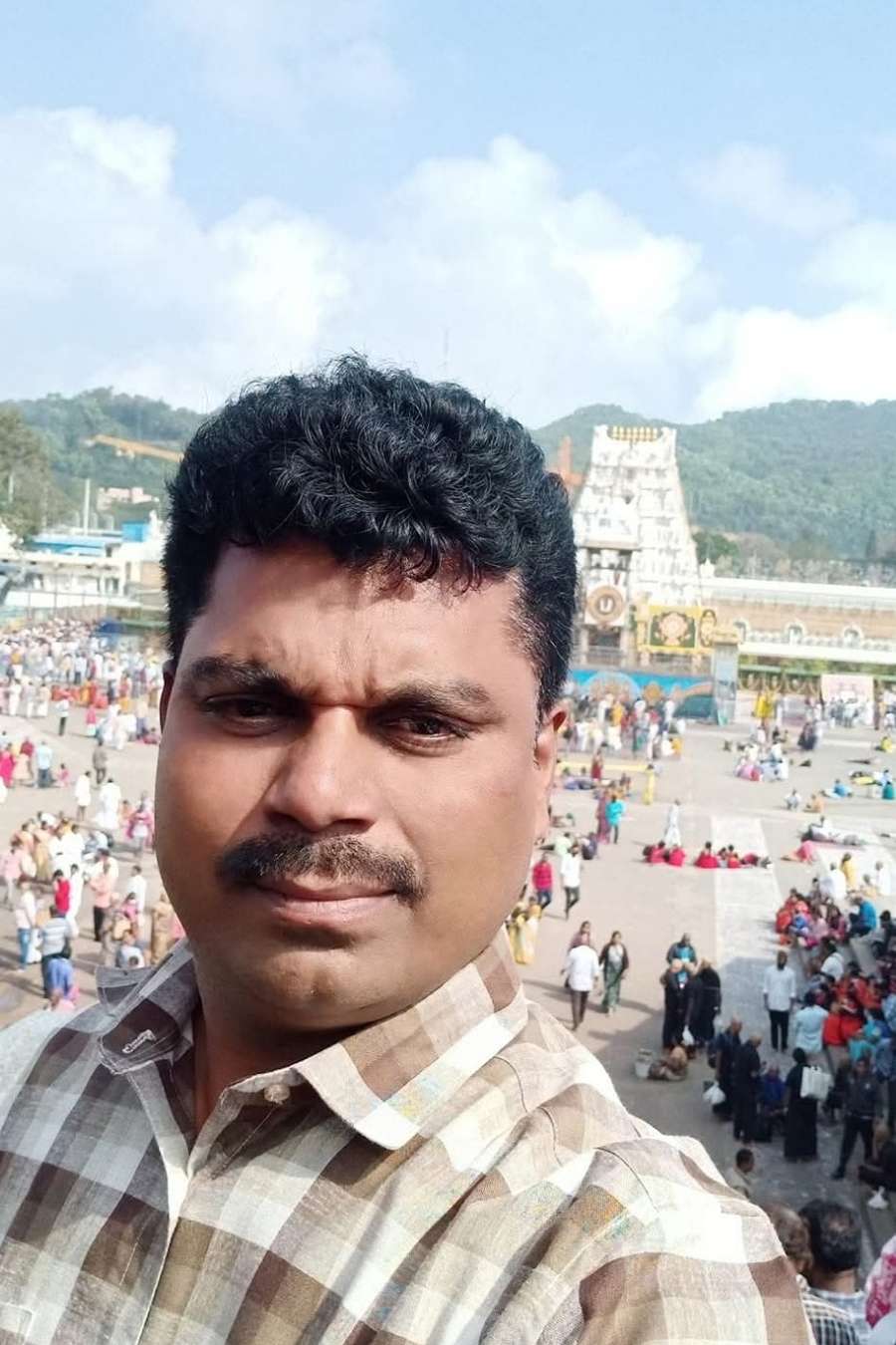 95060930 5331 medium large
