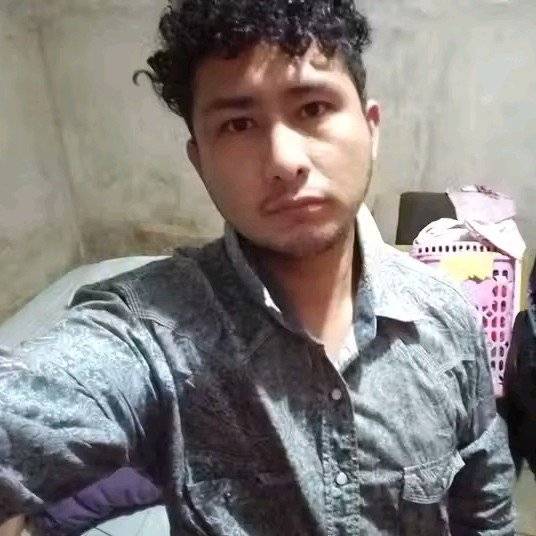 86435768 202 medium large