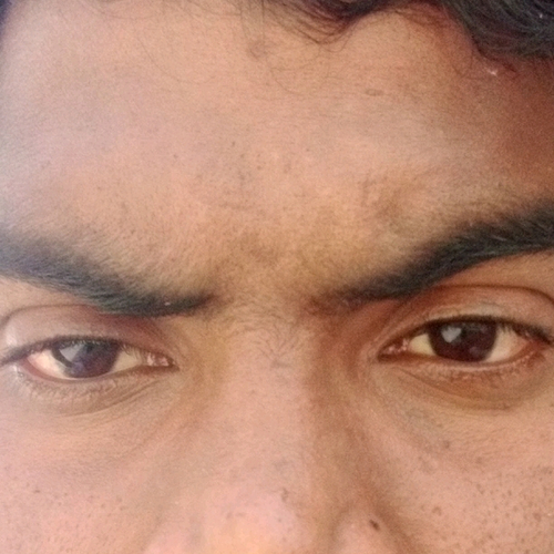 62772610 454