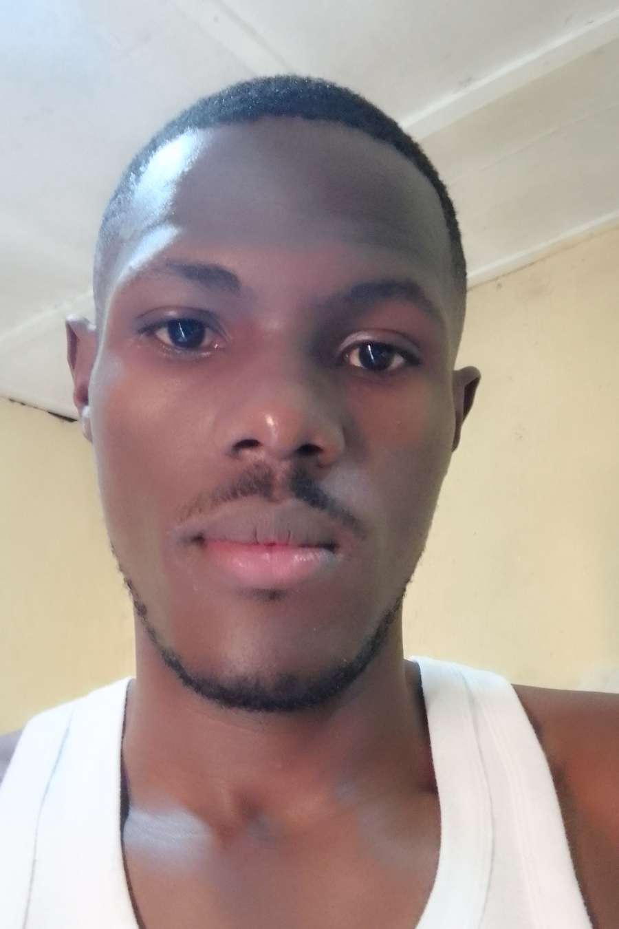 87696221 352 medium large