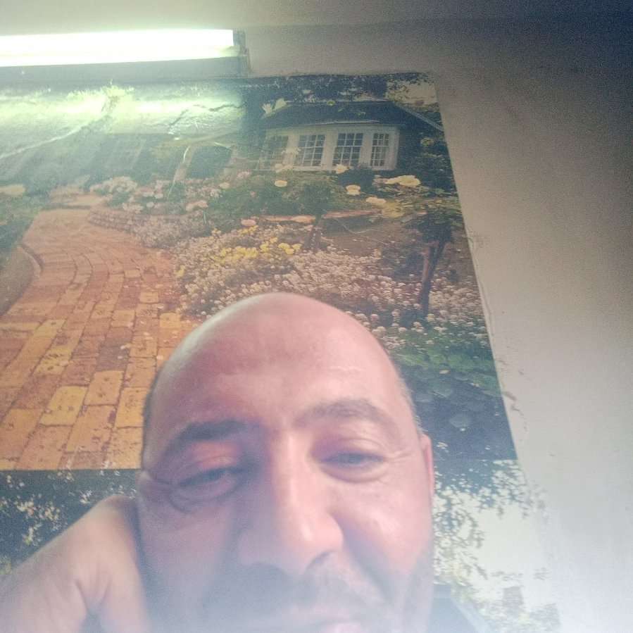 82489800 501 medium large