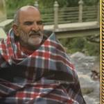 Brahman stud's photo