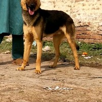 I m khan 's photo