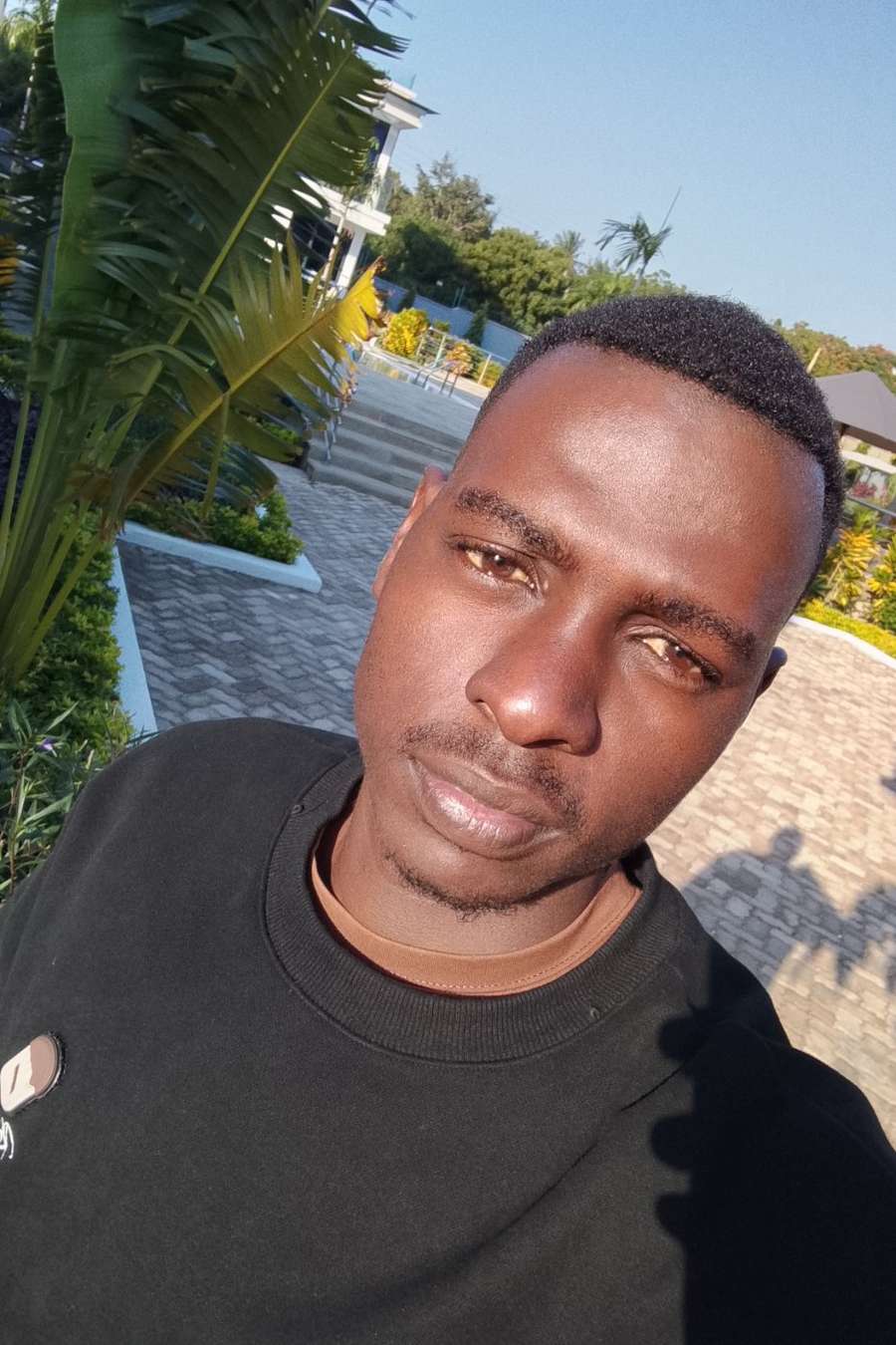 90274159 5449 medium large