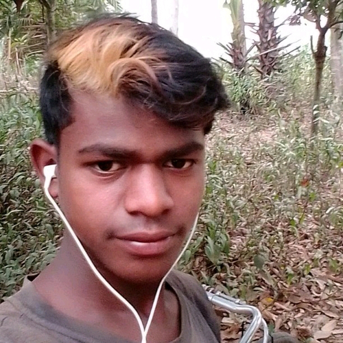 55837777 9818