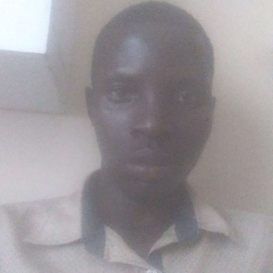83388097 735 medium large