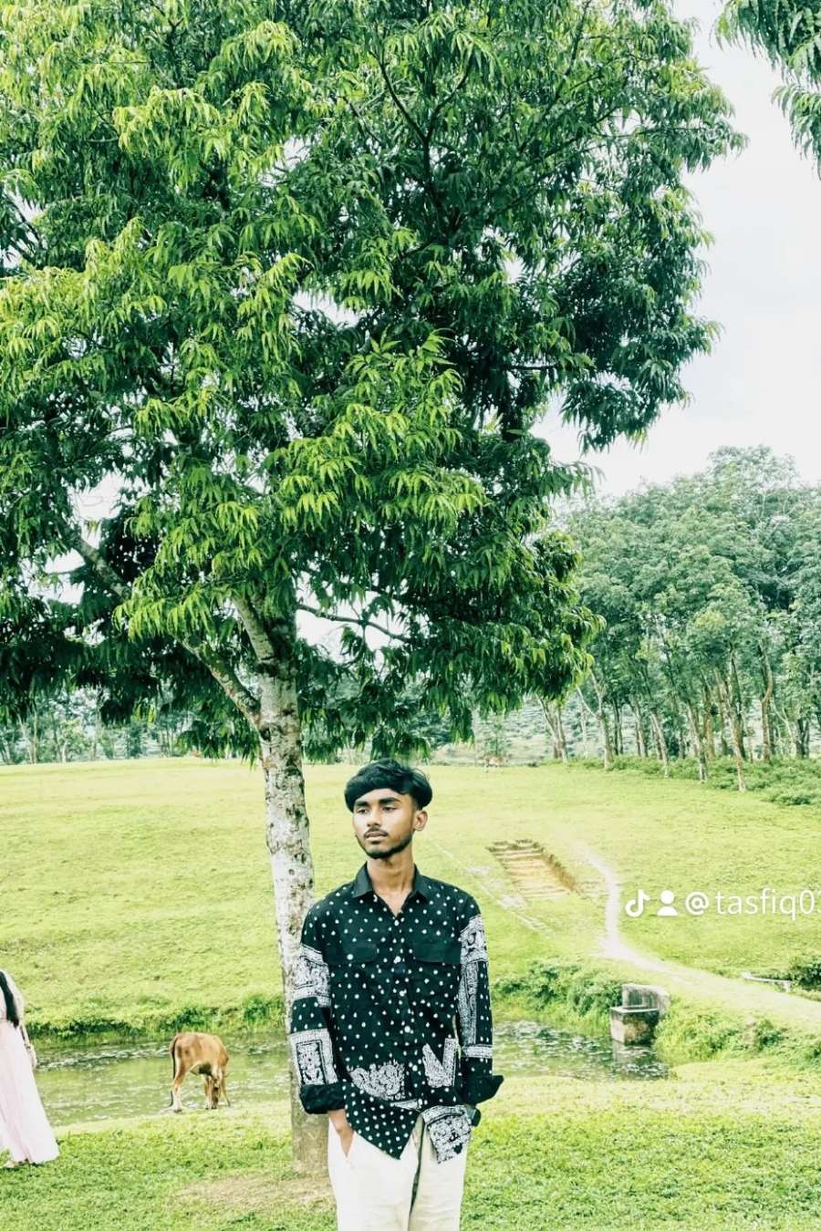 91304681 1545 medium large