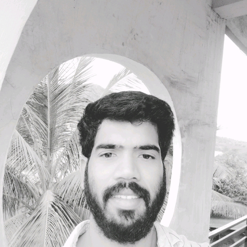 51013399 1557