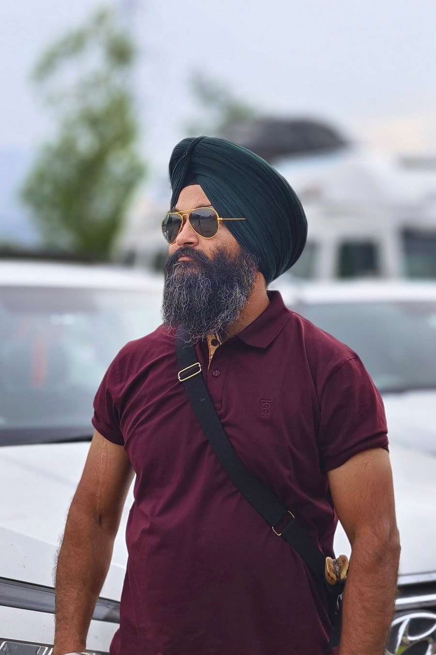 8555384 1454 medium large