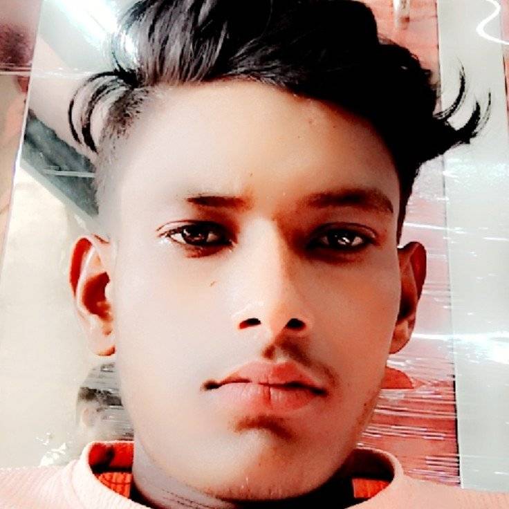 88162558 4543 medium large