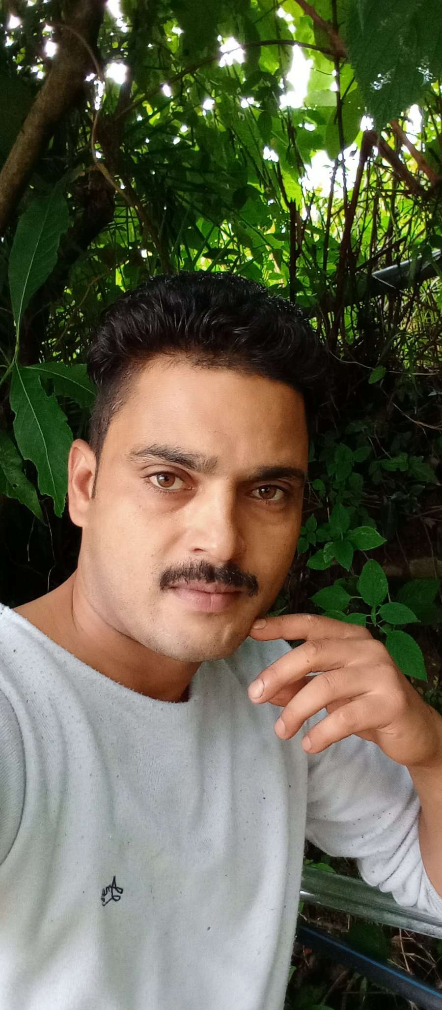 84372454 1231 medium large