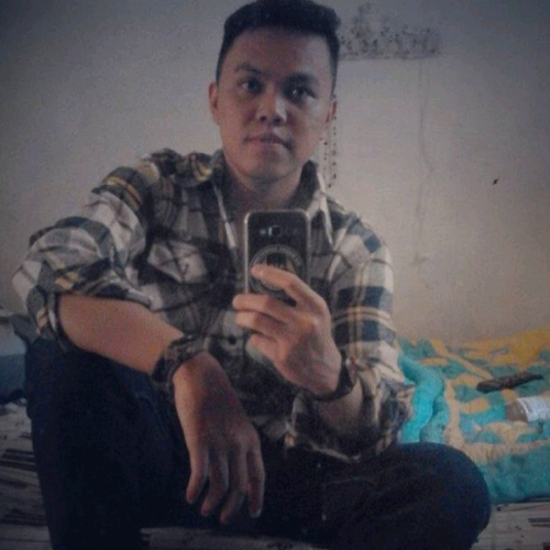 71967331 2015
