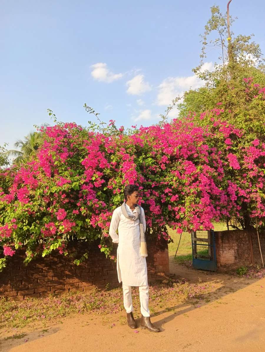 87334669 8329 medium large