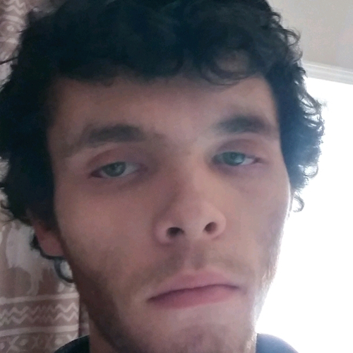 53398362 158