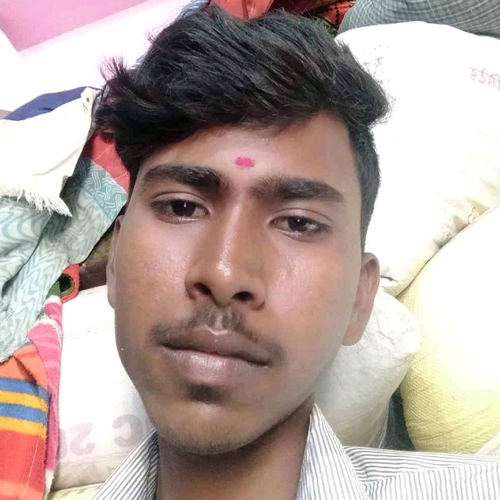 53541788 593