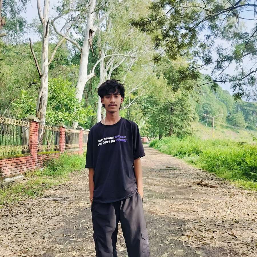 85201488 235 medium large