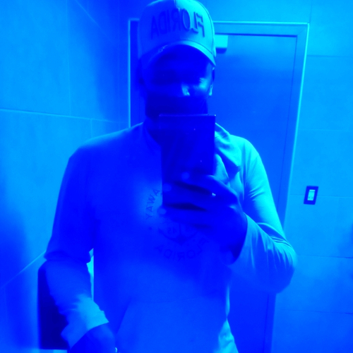 50775629 2736