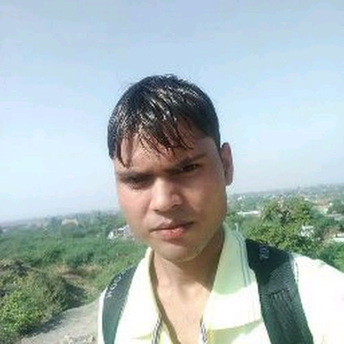 59077677 2982