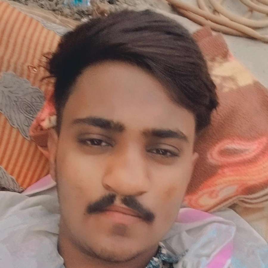 87766662 5904 medium large