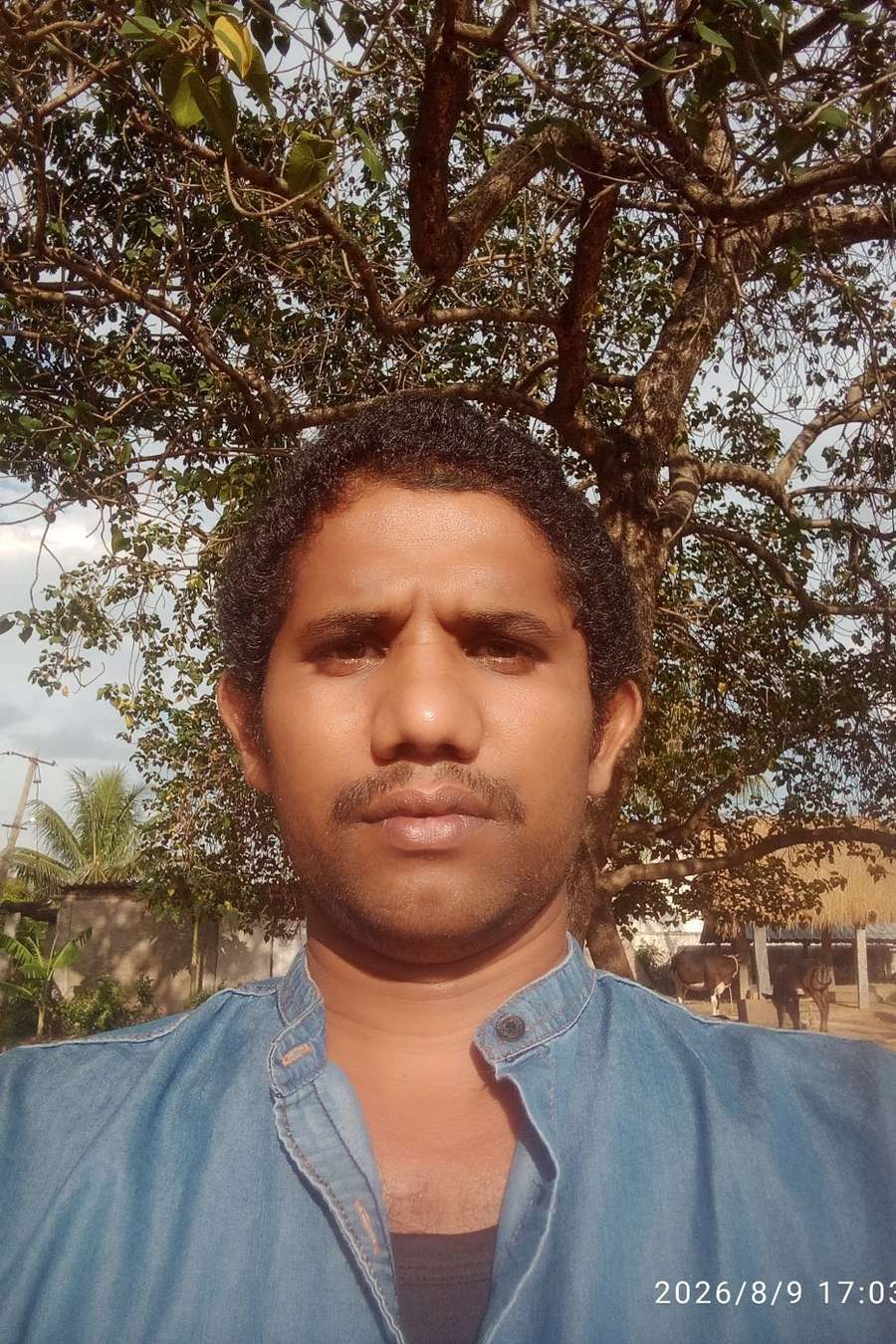 95146341 9524 medium large