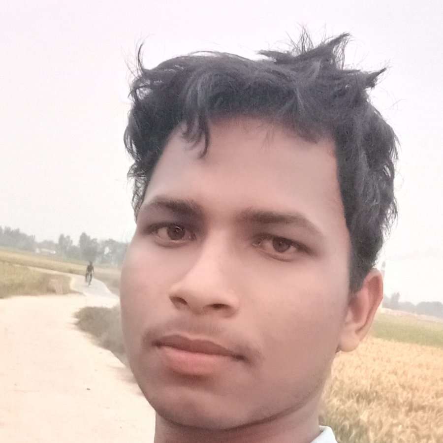 79401918 6455 medium large