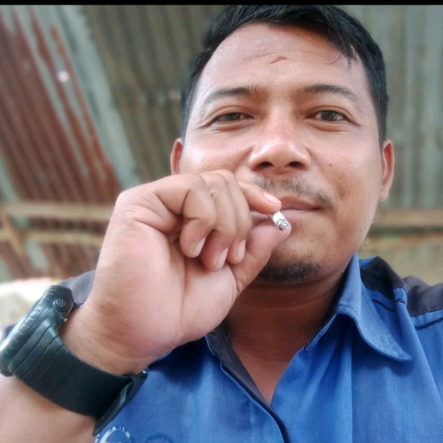 66236438 7724