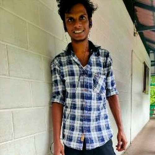 51631531 709