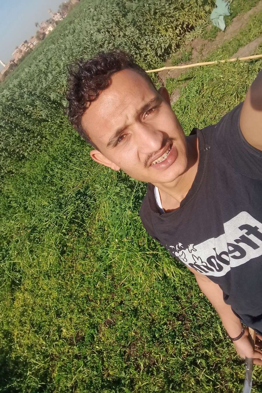 90472177 682 medium large