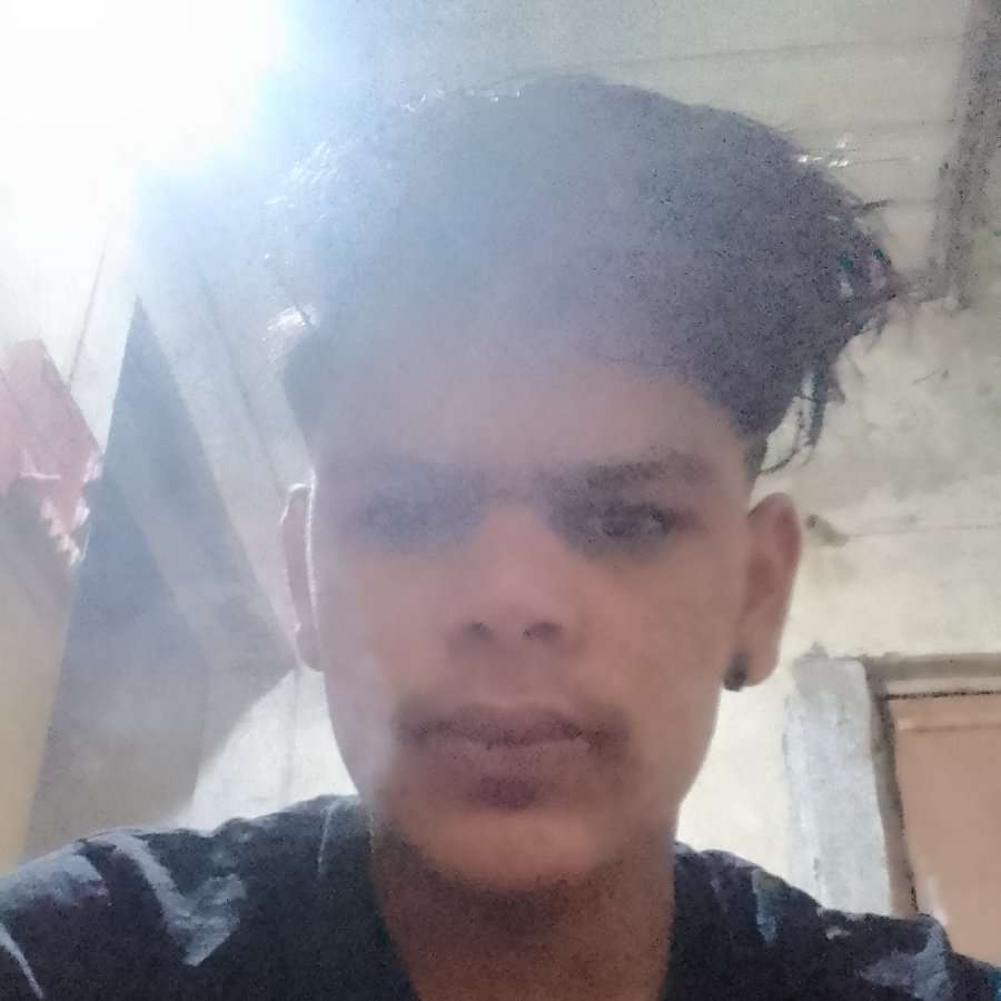 81634595 2153 medium large