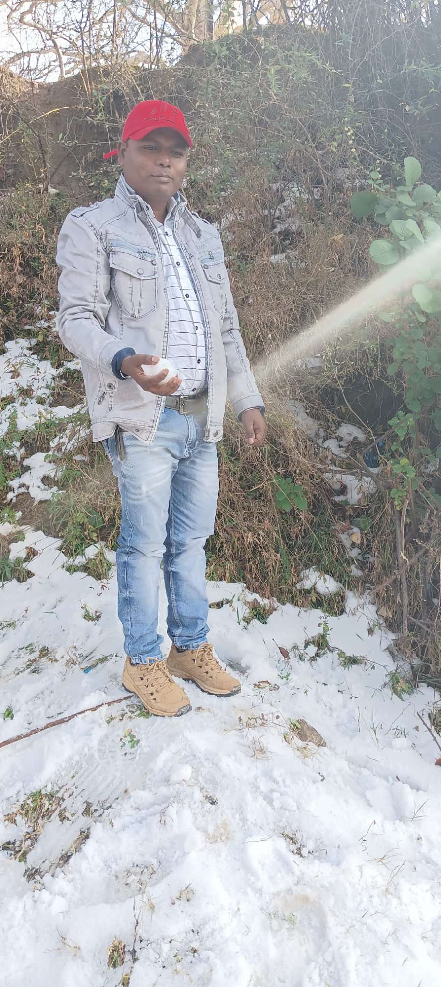 86294871 2194 medium large