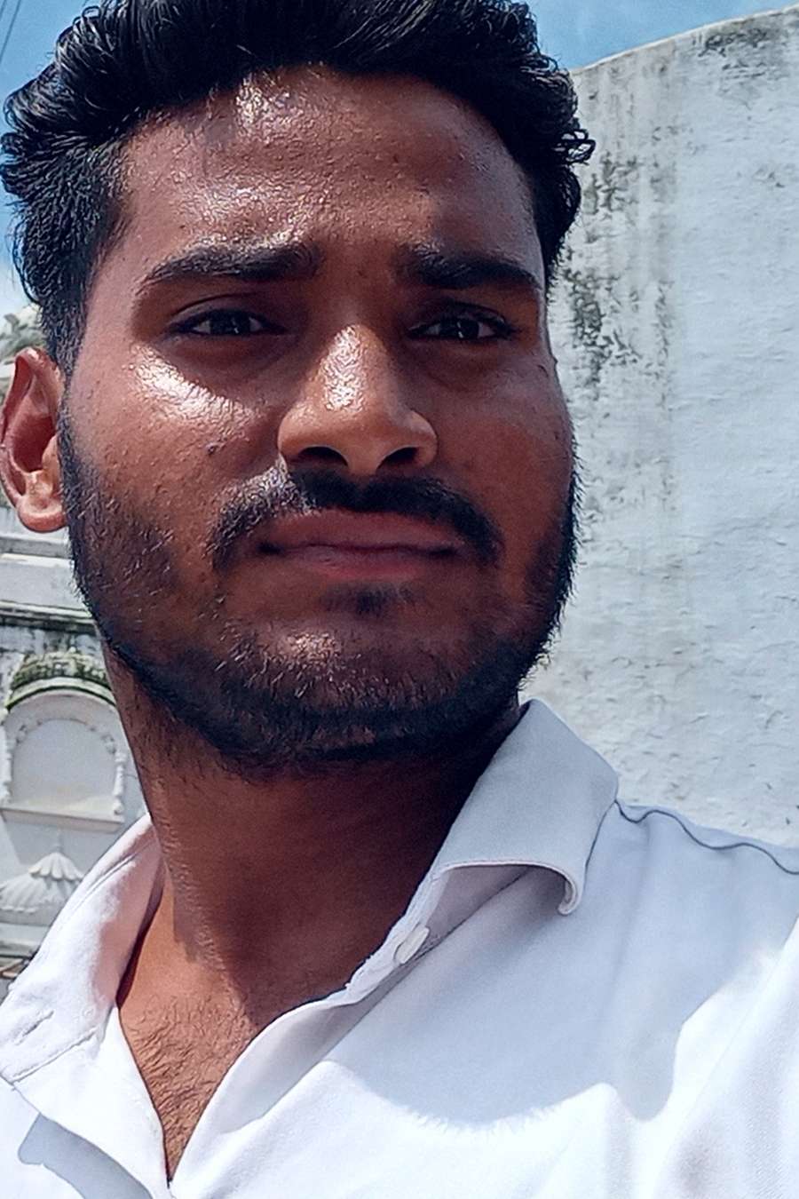 87628757 6242 medium large