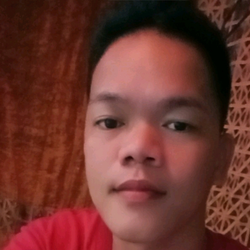 51149551 460
