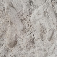  afmns chaudary's photo